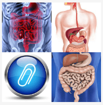 4 immagini 1 parola Livello 2347